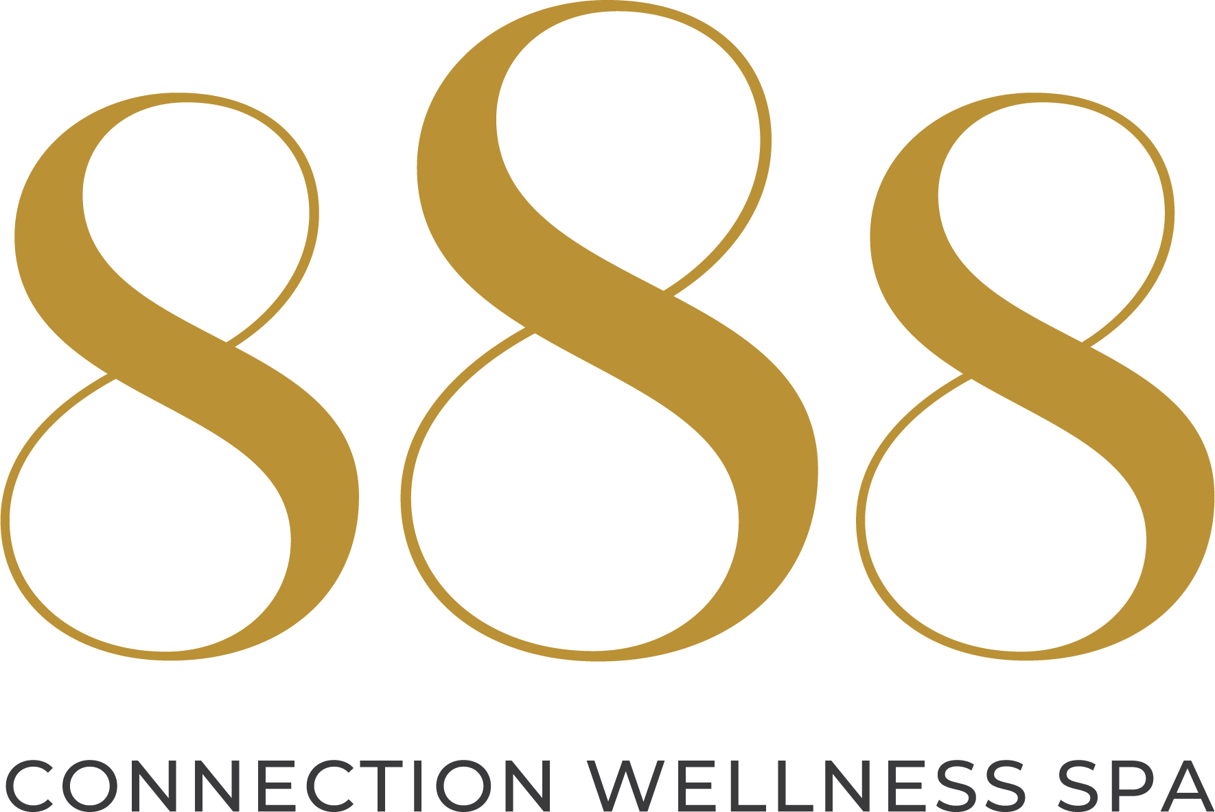 888 Connection Wellness SPA